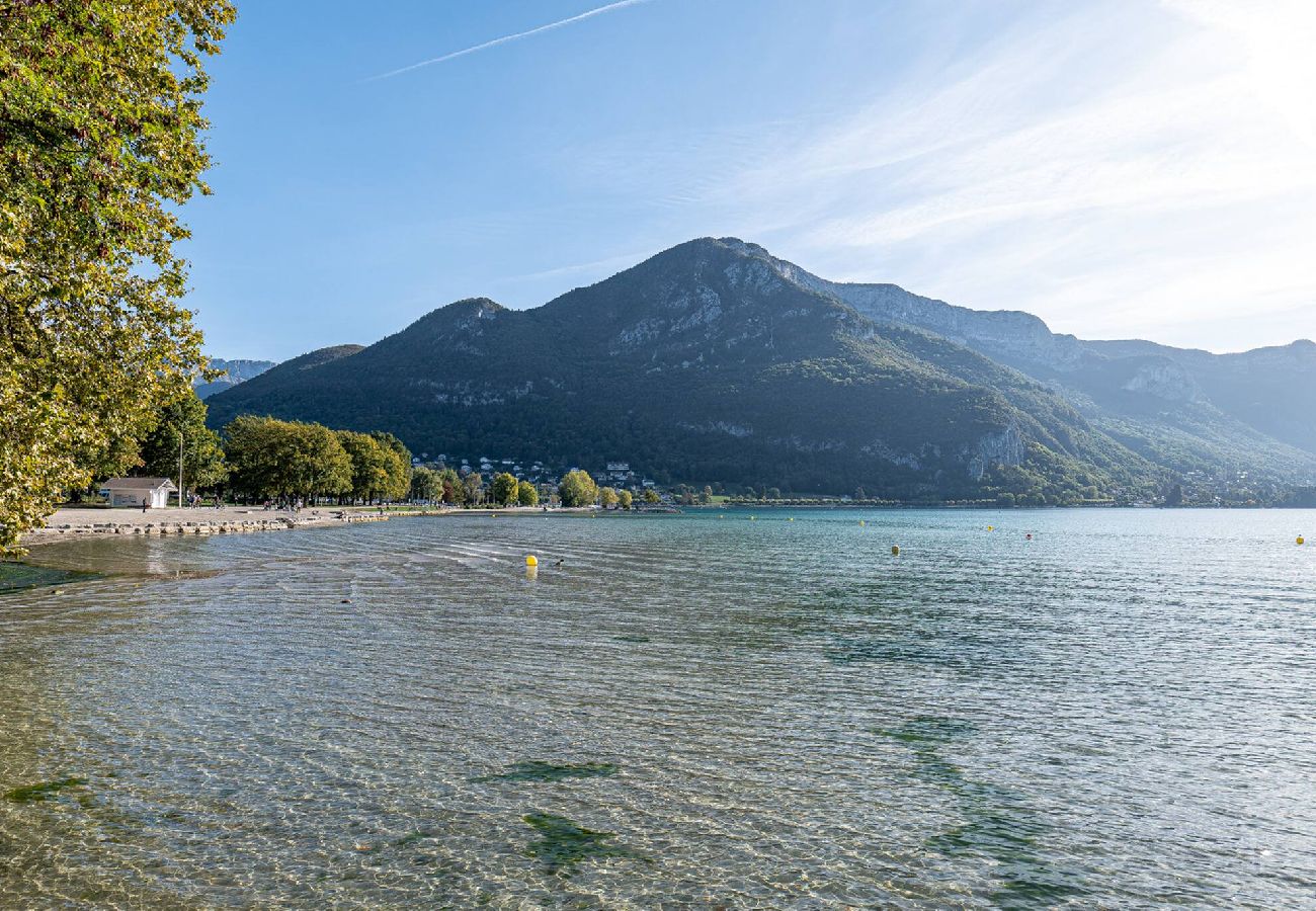 Appartement à Annecy - Sous le ciel d Annecy