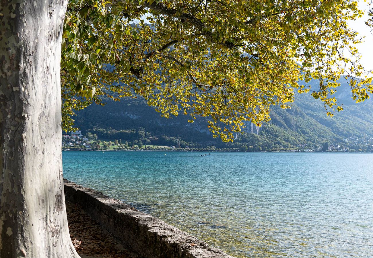 Appartement à Annecy - Sous le ciel d Annecy