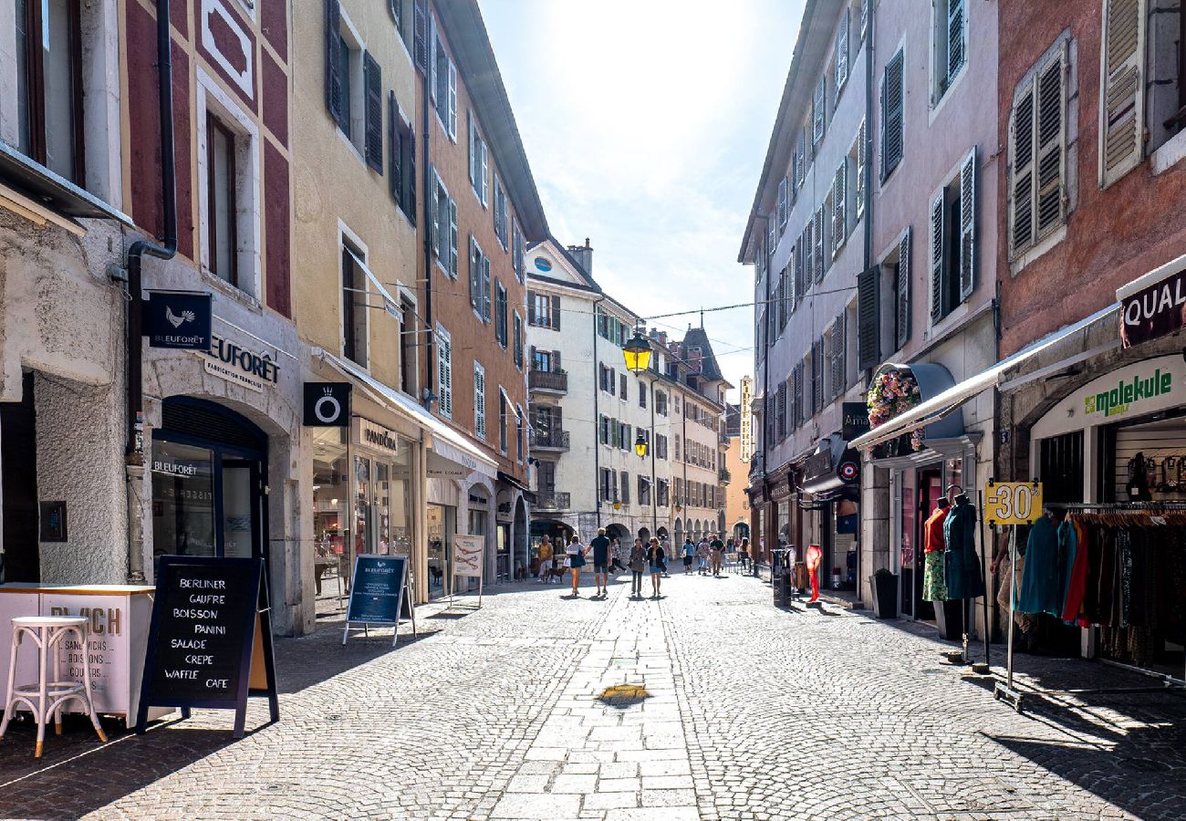 Appartement à Annecy - Triplex Carnot