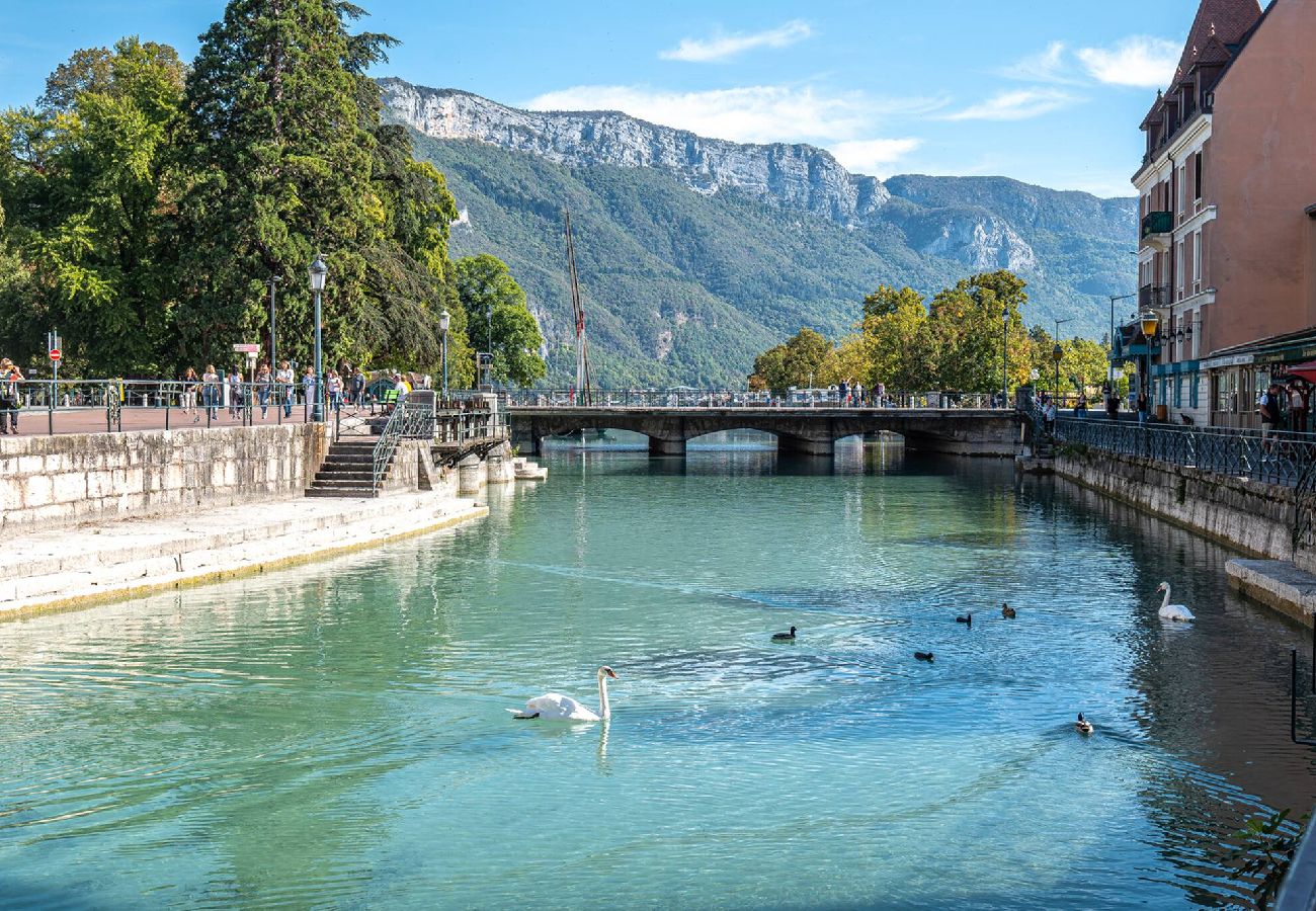 Appartement à Annecy - Triplex Carnot