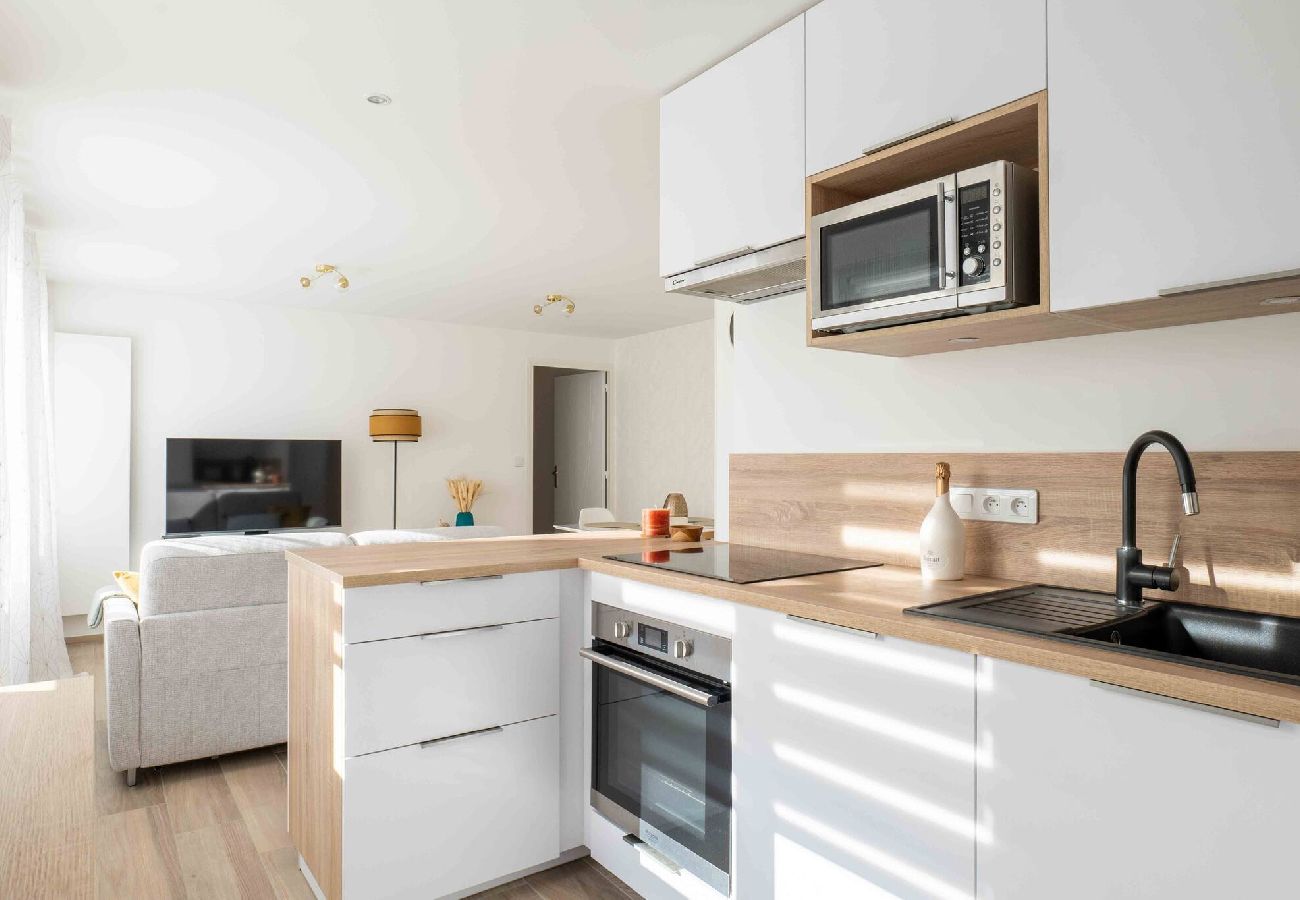 Appartement à Annecy - Le Mont Blanc