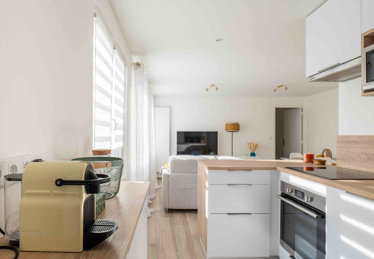 Appartement à Annecy - Le Mont Blanc