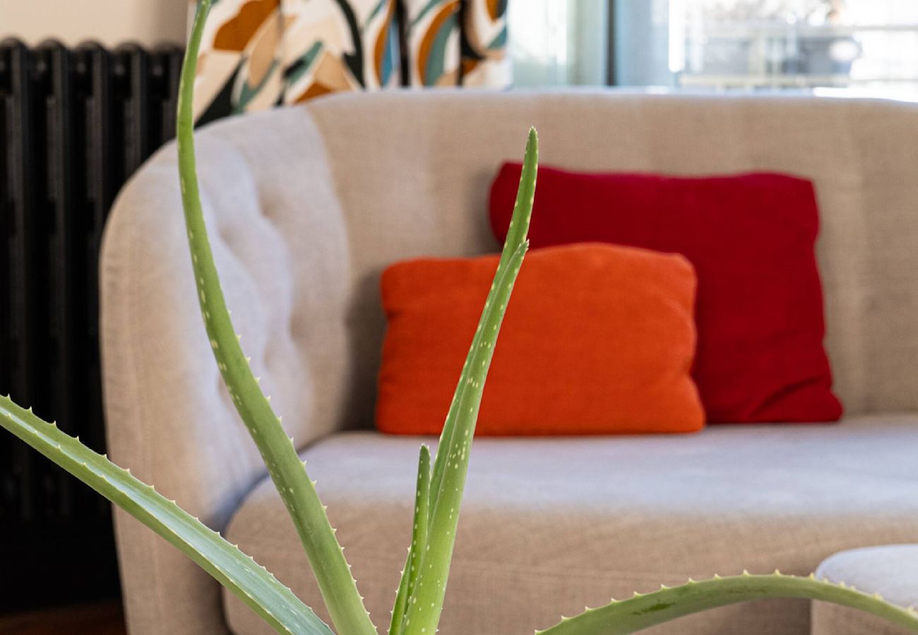 Appartement à Annecy - Magnolias