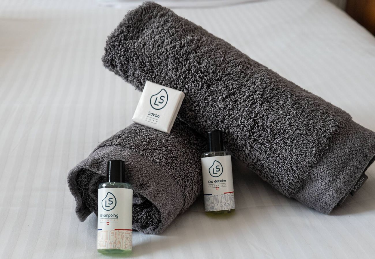 Appartement à Annecy - Annecy Aravis proche Lac