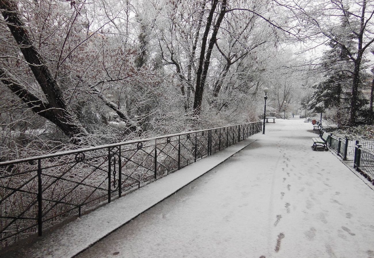 Appartement à Annecy - Chant du Thiou