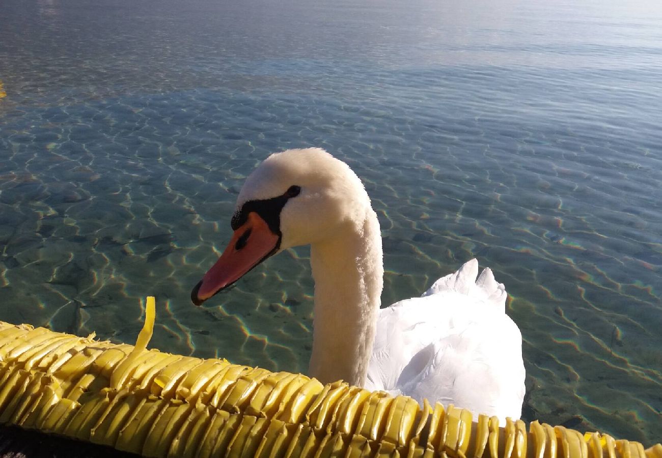 Appartement à Annecy - Chant du Thiou