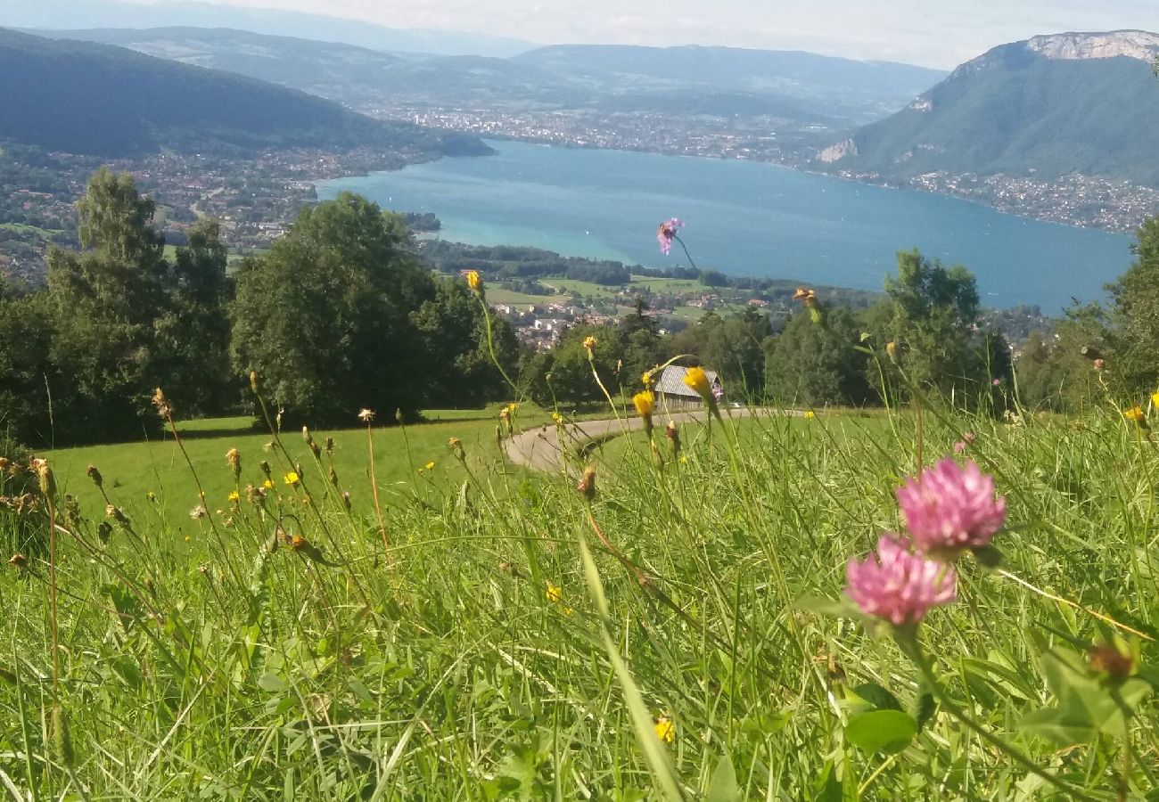 Appartement à Annecy - Chant du Thiou