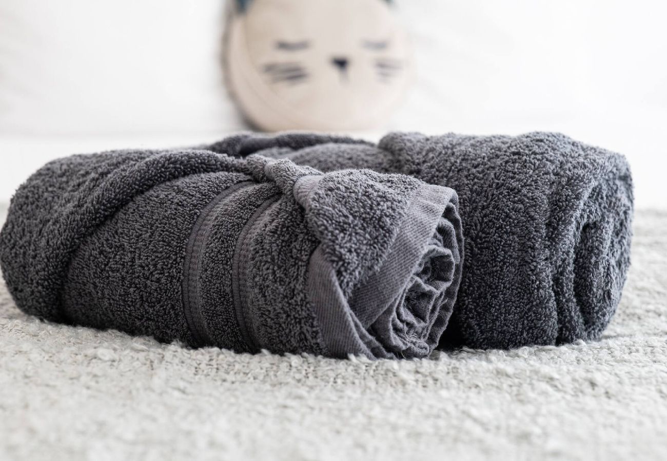 Appartement à Annecy - Festival