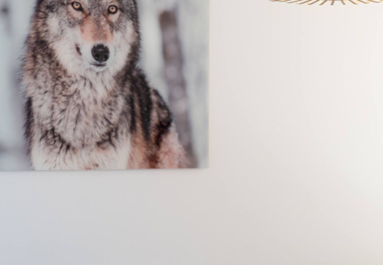 Appartement à Annecy - Festival