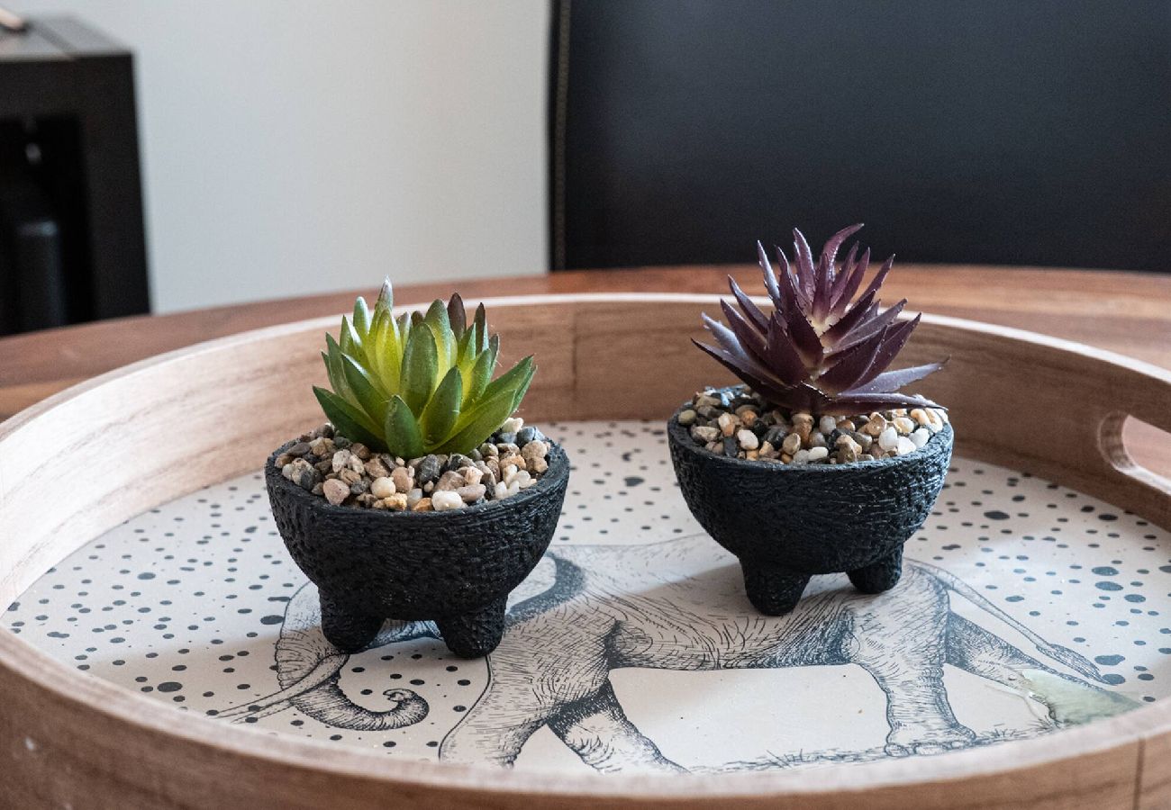 Appartement à Annecy - Carnot Duplex