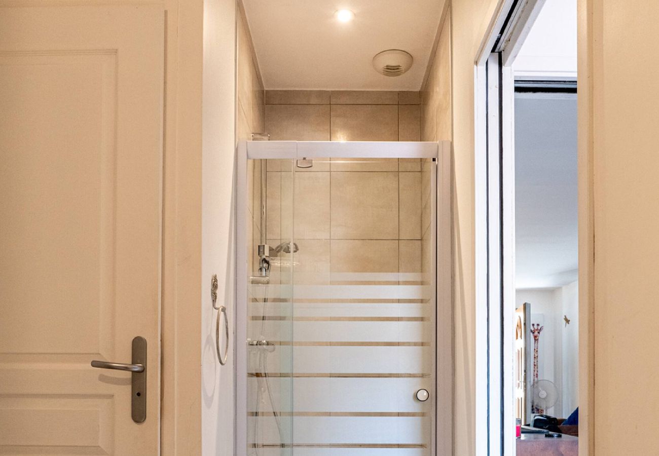 Appartement à Annecy - Carnot Duplex