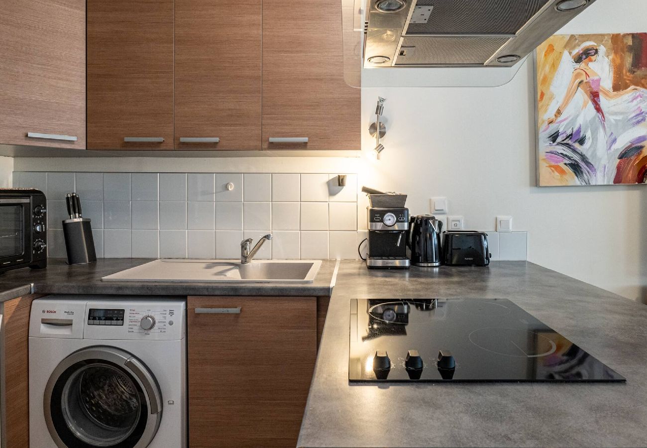 Appartement à Annecy - Carnot Duplex