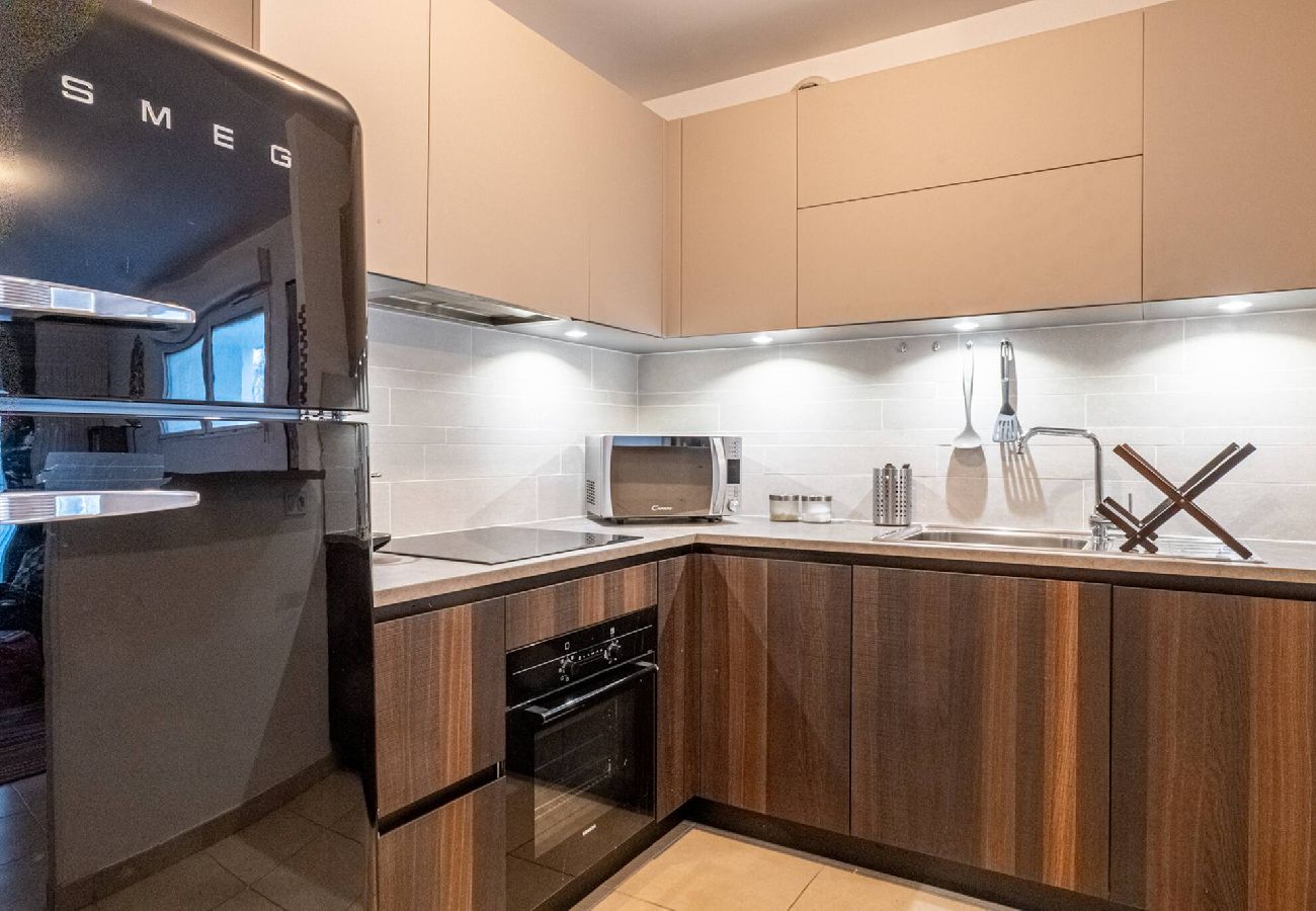 Appartement à Annecy - La Terrazza sul Thiou - 2 chambres - Terrasse - Ga