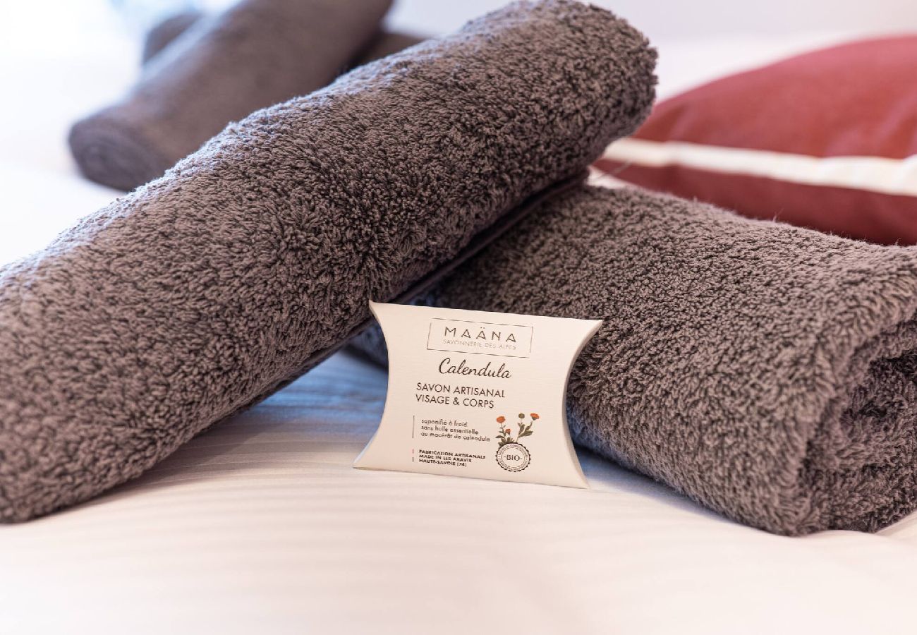 Appartement à Annecy - Lake central