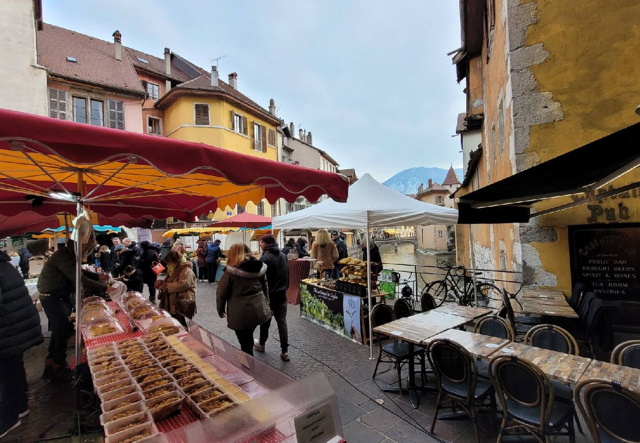 Appartement à Annecy - Lake central