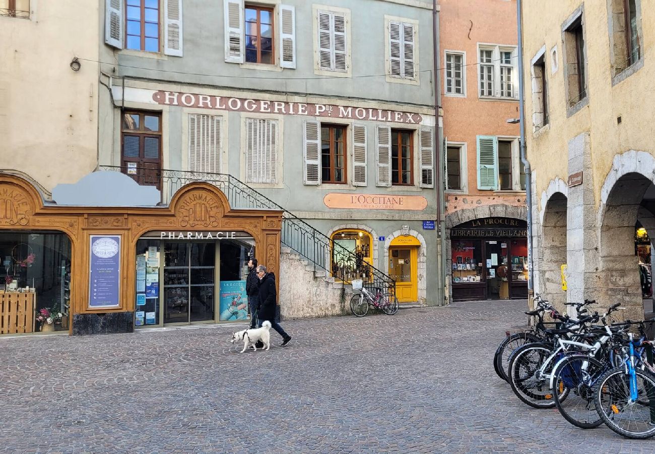 Appartement à Annecy - Lake central