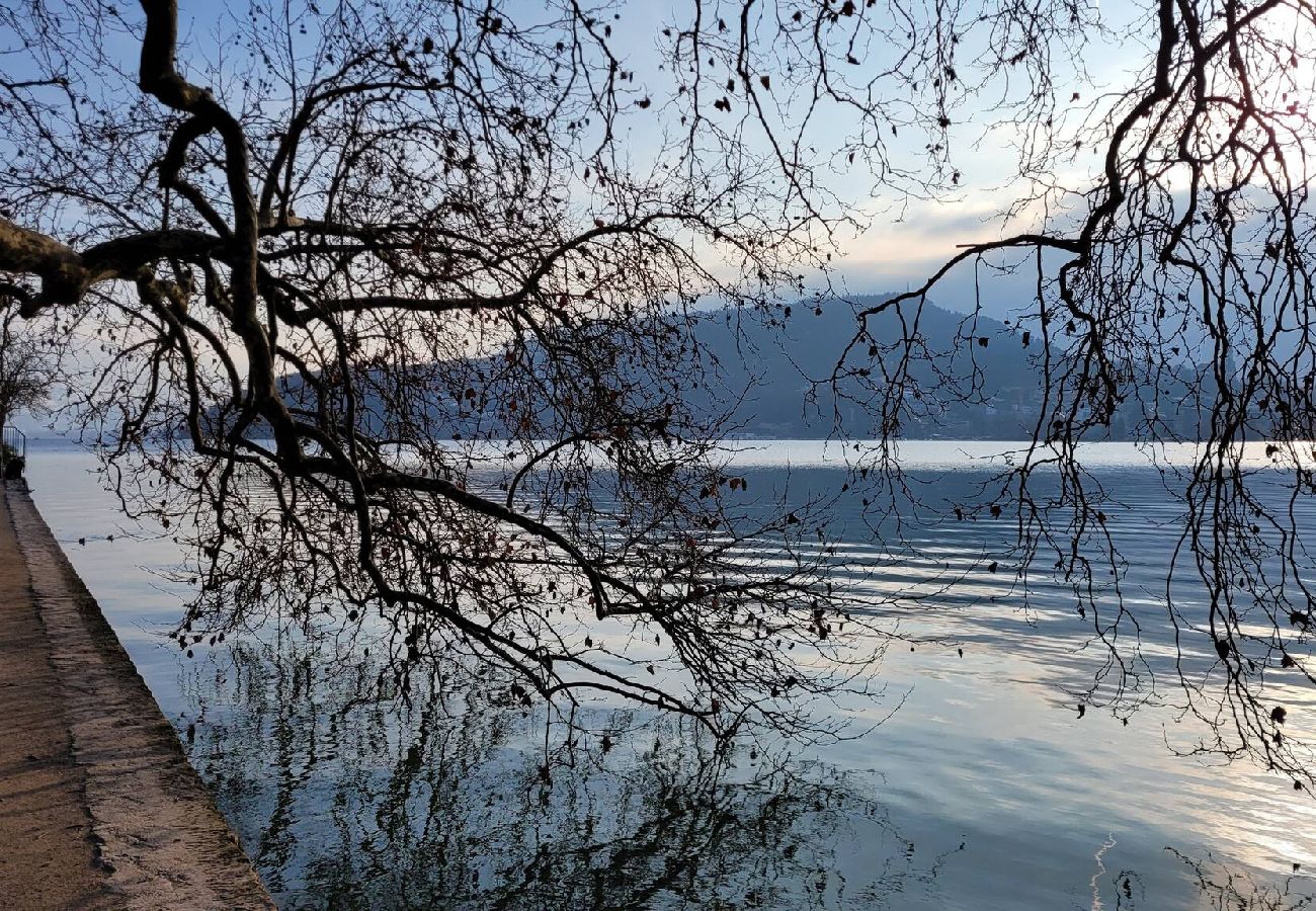 Appartement à Annecy - Lake central