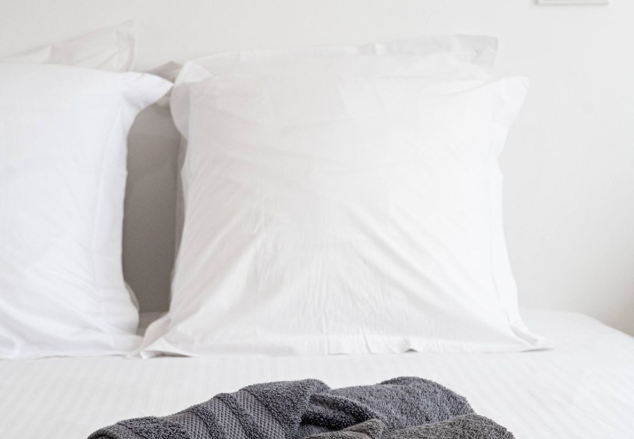 Appartement à Annecy - AVA´necy - Rue piétonne - proche Haras et lac