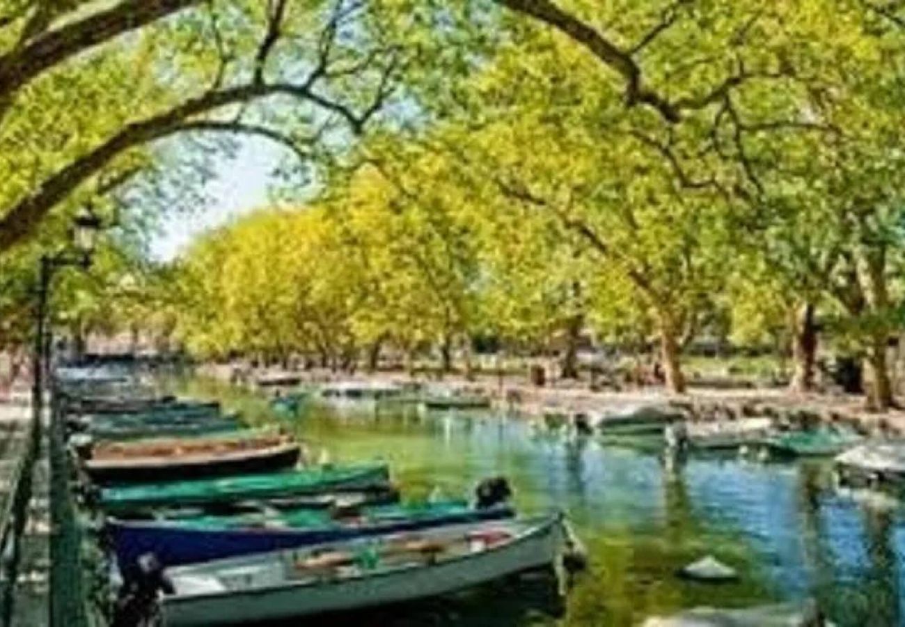 Appartement à Annecy - Le Sommeiller : Bel Appartement au cœur de ville