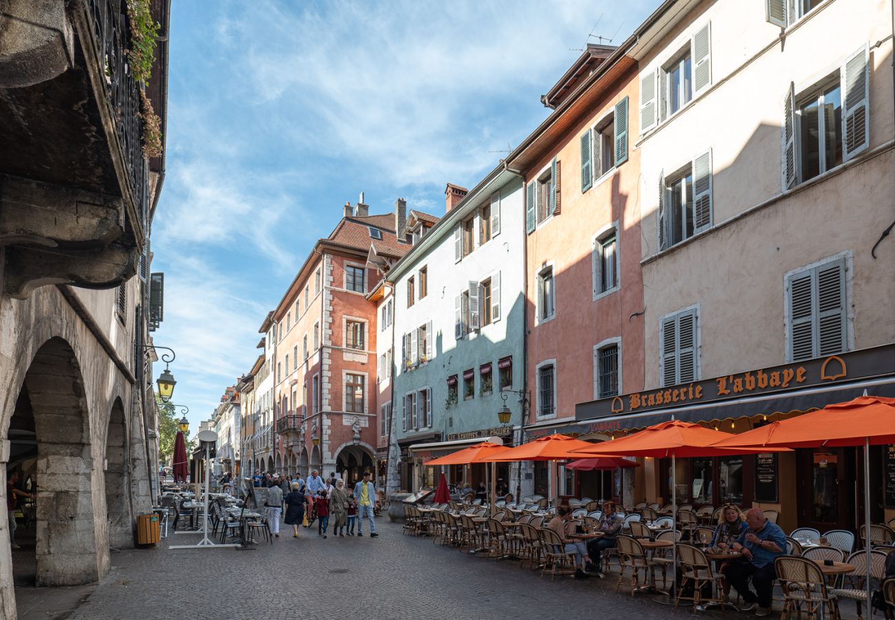 Appartement à Annecy - Le Cocon - 3* Luxe et hypercentre historique