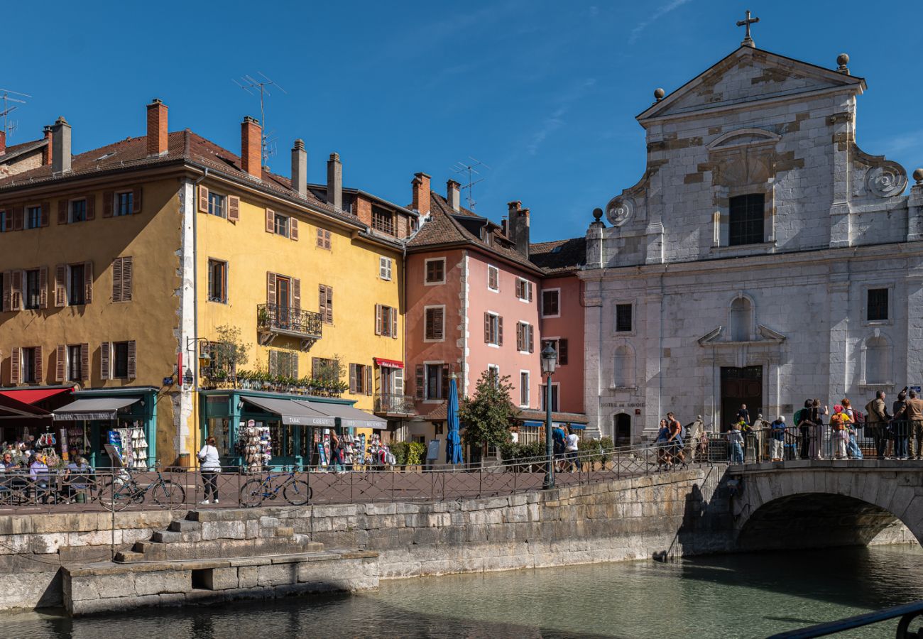Appartement à Annecy - Le Cocon - 3* Luxe et hypercentre historique