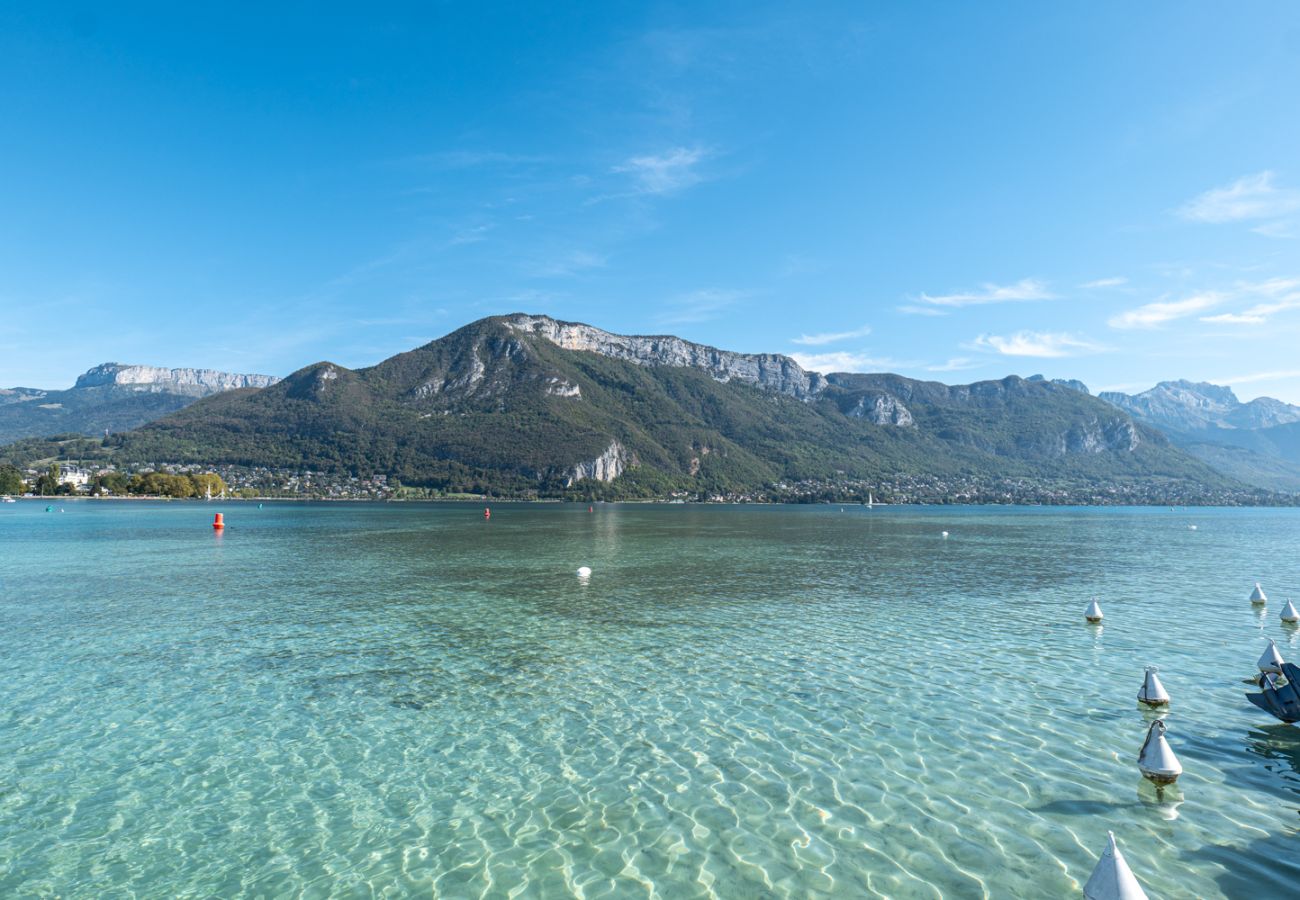 Appartement à Annecy - Le Cocon - 3* Luxe et hypercentre historique
