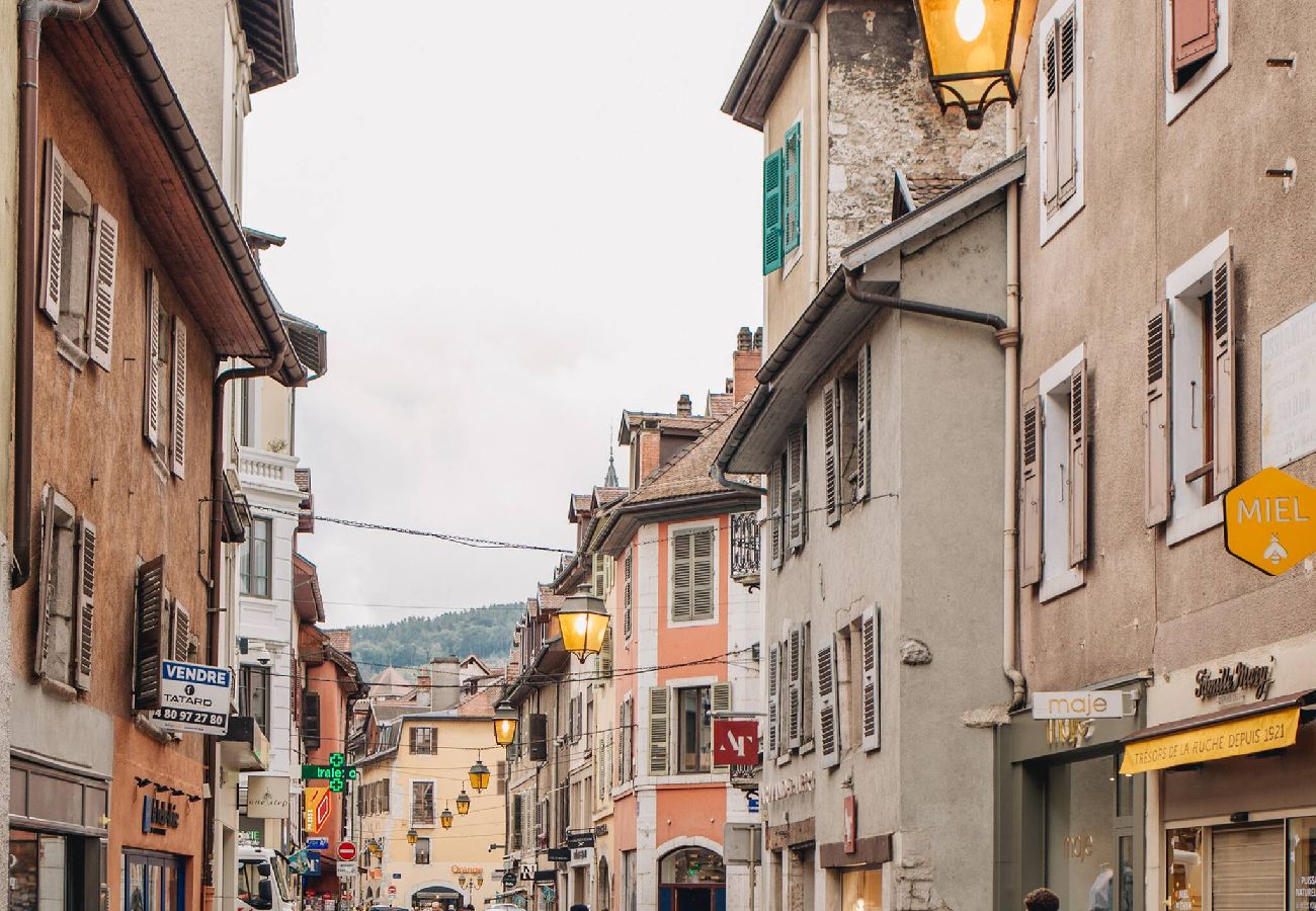Appartement à Annecy - La Vie en Rose - Luxe, calme & hypercentre - 3*