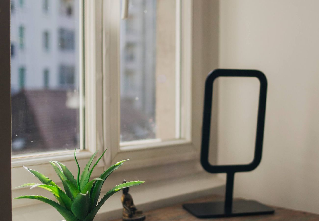 Appartement à Annecy - Loge du Pré Carré - hypercentre