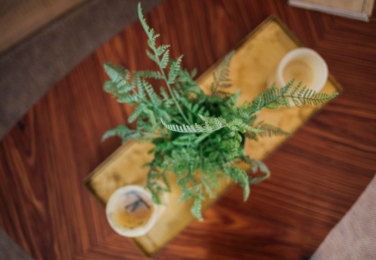 Appartement à Annecy - Loge du Pré Carré - hypercentre