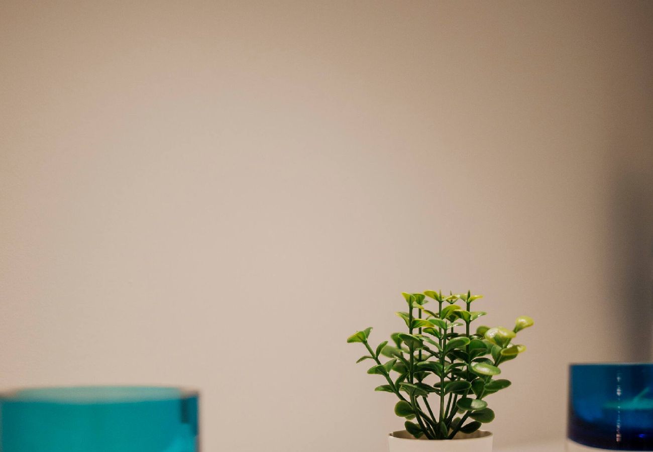 Appartement à Annecy - Loge du Pré Carré - hypercentre