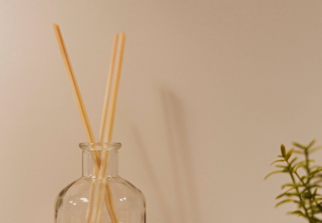 Appartement à Annecy - Loge du Pré Carré - hypercentre