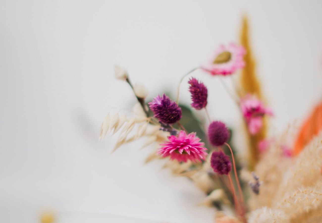 Appartement à Annecy - Loge du Pré Carré - hypercentre