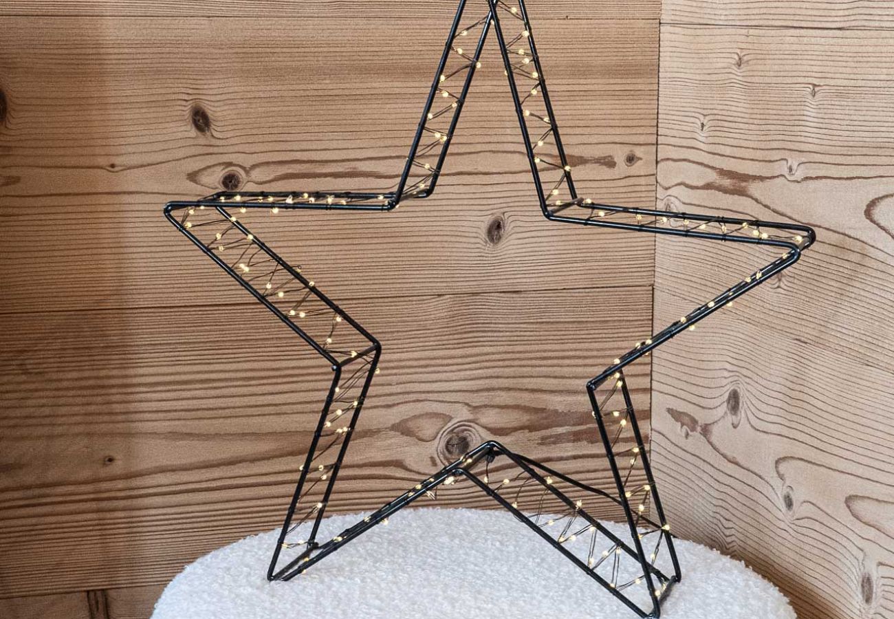 Appartement à Manigod - Pied des pistes Manigod-La Clusaz | App. 4 pers