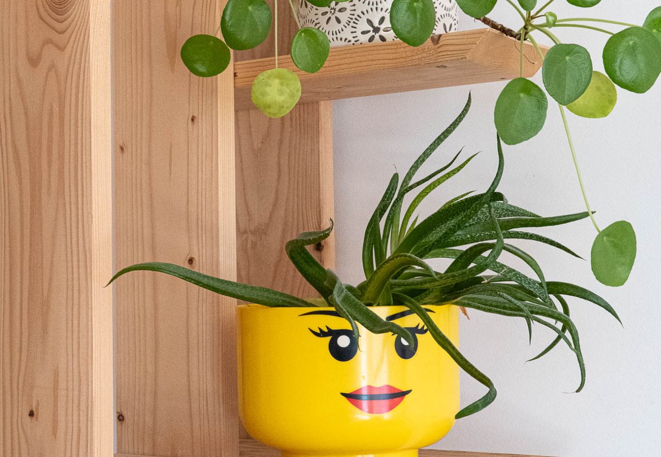 Appartement à Annecy - Horizon