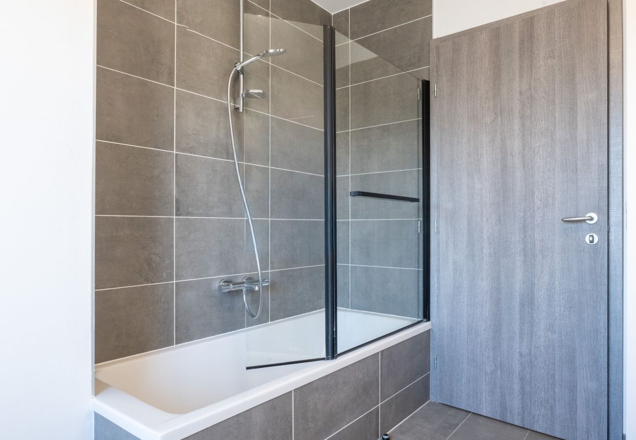 Appartement à Annecy - L'Accord Parfait