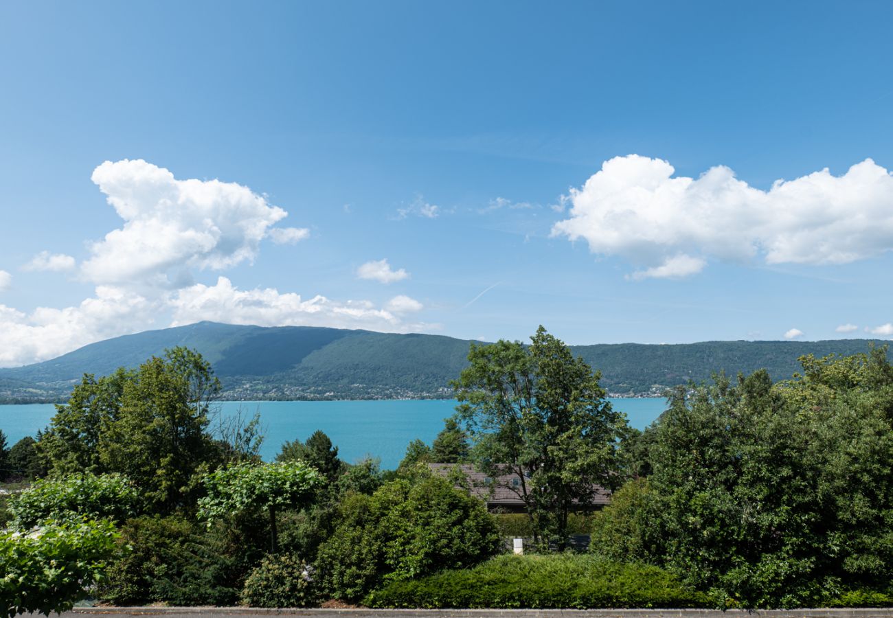 Appartement à Veyrier-du-Lac - L'EOS : Vue lac avec piscine