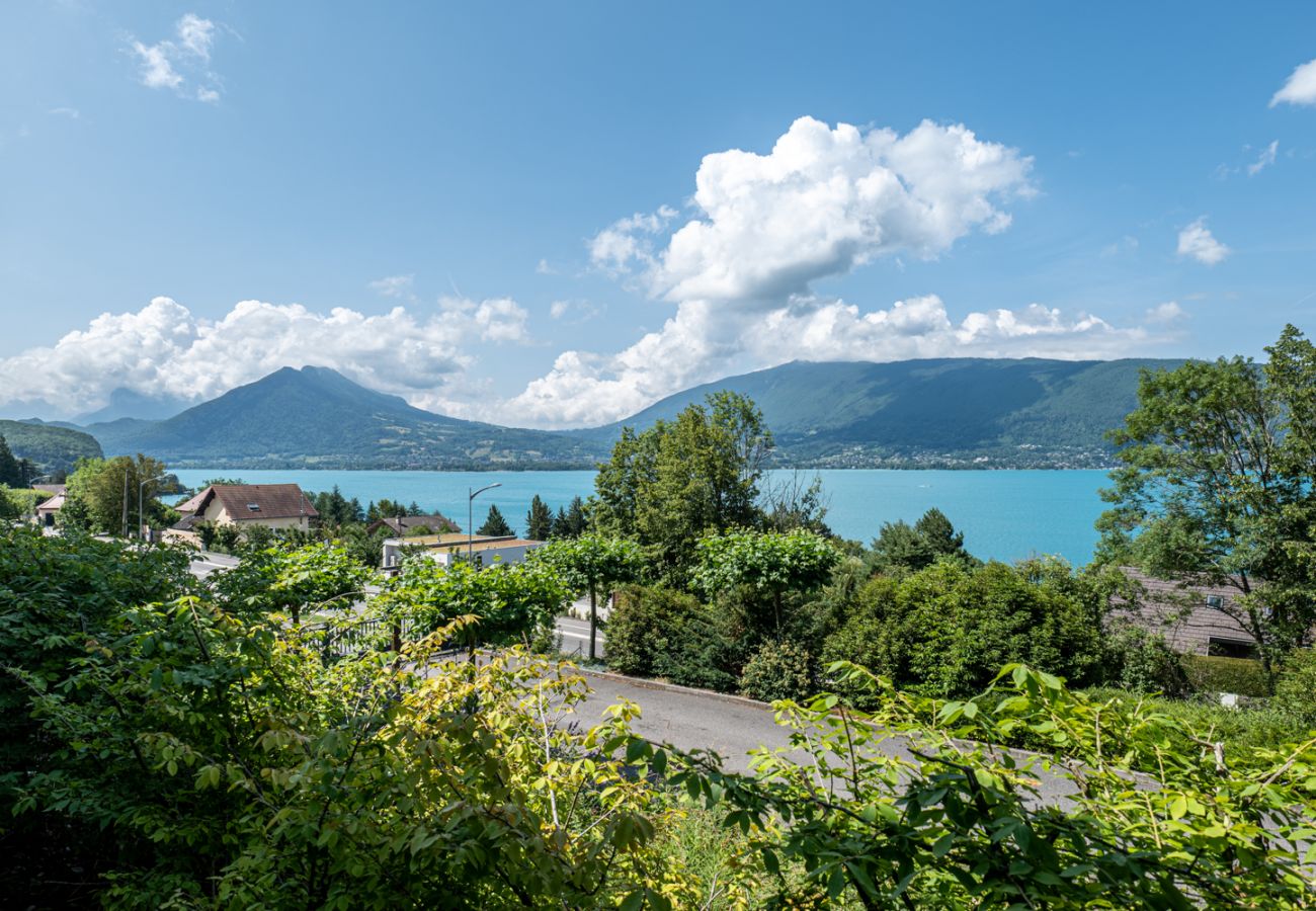 Appartement à Veyrier-du-Lac - L'EOS : Vue lac avec piscine