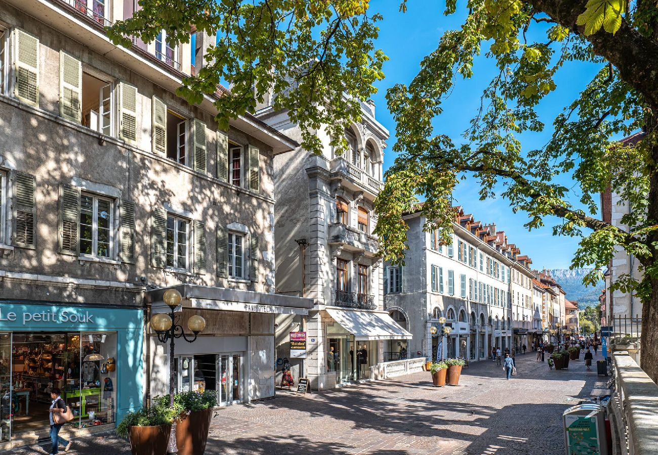 Appartement à Annecy - Les Clés de Lucie - Annecy - 1 Chambre - Garage