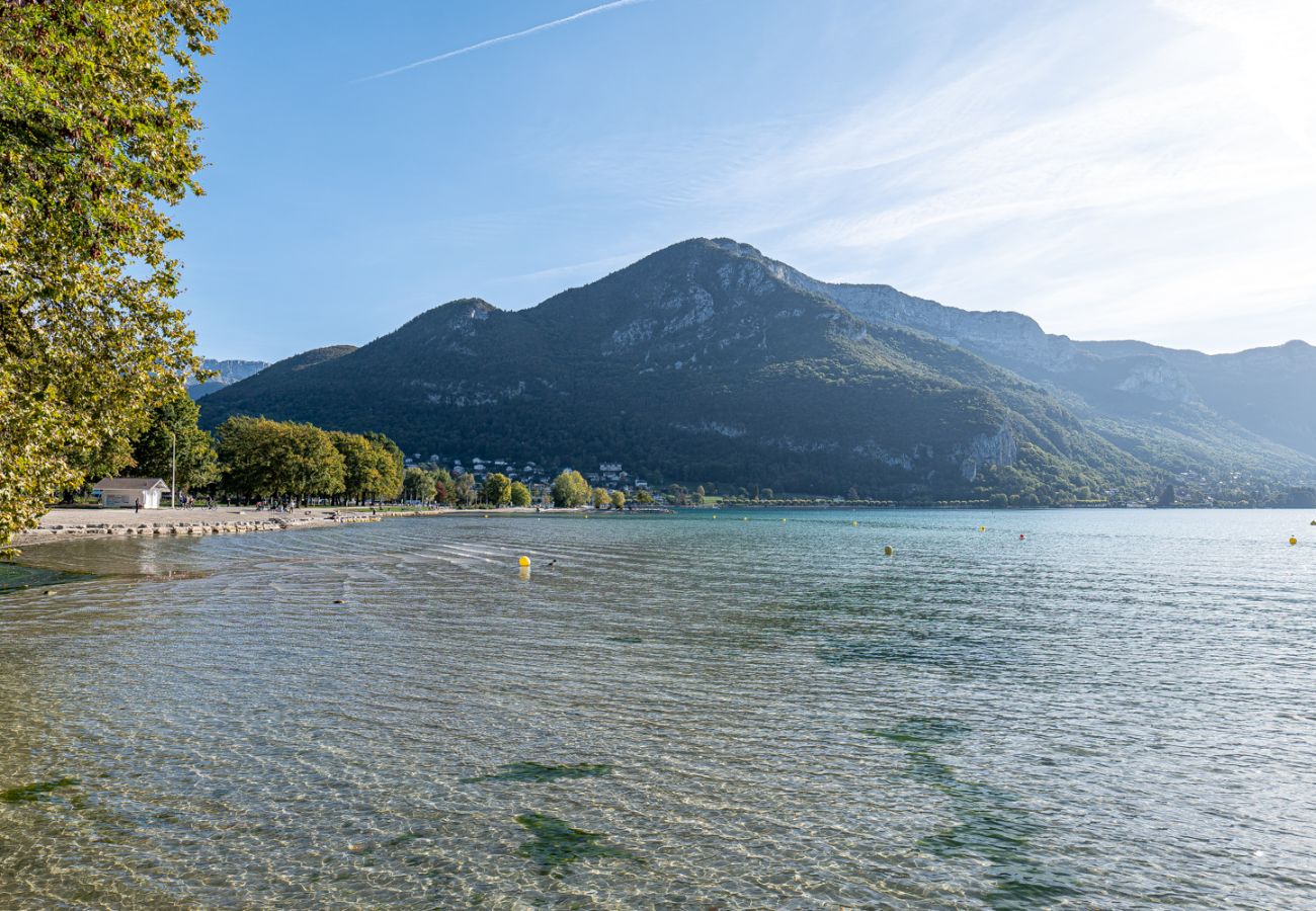 Appartement à Annecy - La Casa 67
