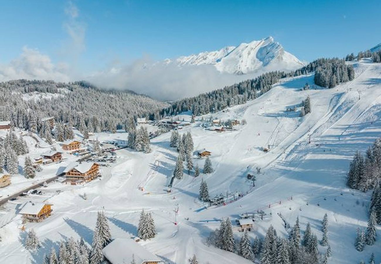Studio à Manigod - Le Merdassier – Escale des Aravis
