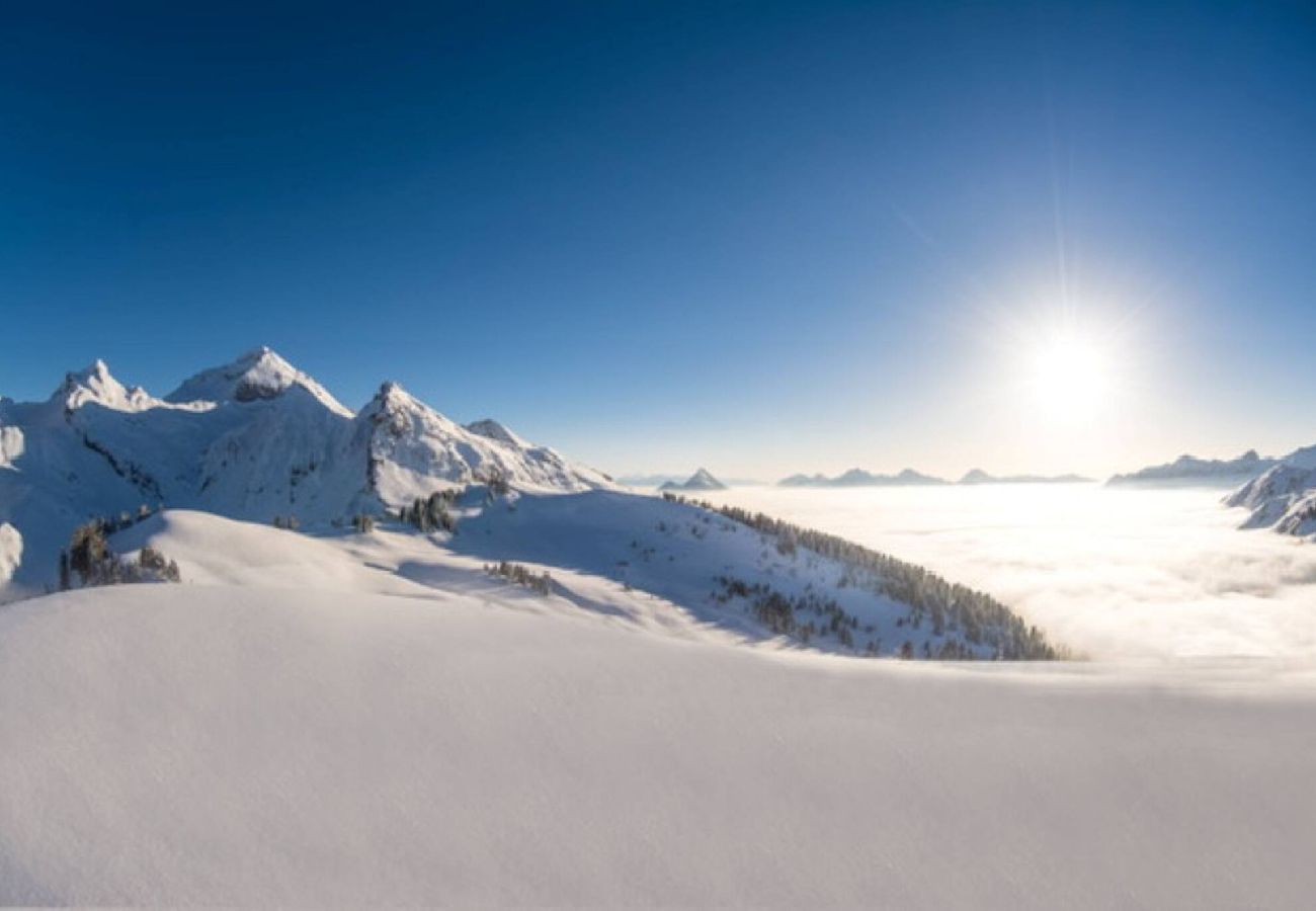 Studio à Manigod - Le Merdassier – Escale des Aravis