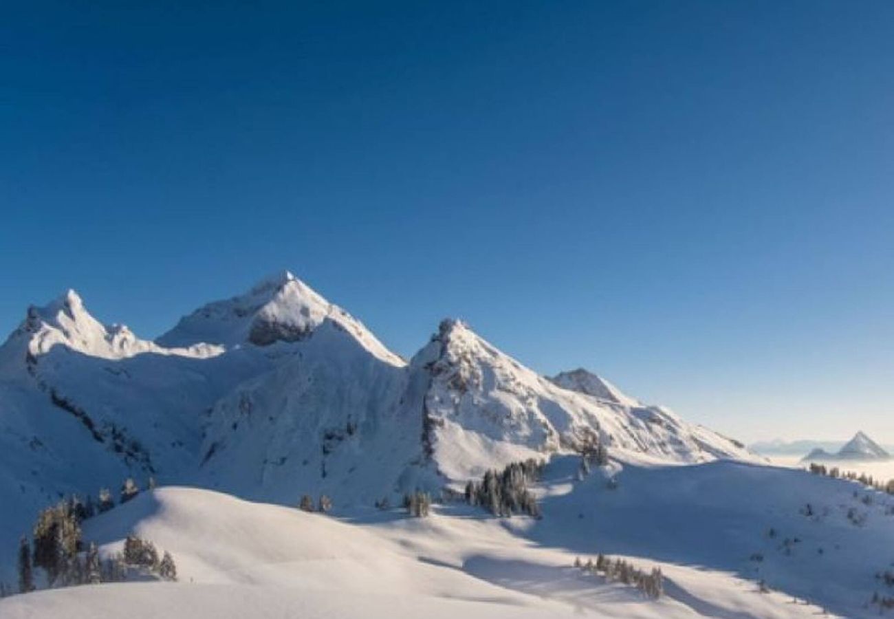 Studio à Manigod - Le Merdassier – Escale des Aravis